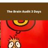 Sean Dsouza The Brain Audit 3 Day