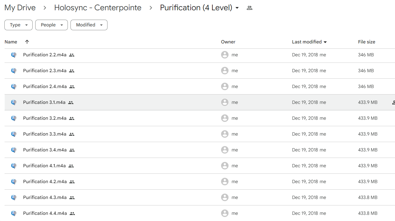 Holosync Centerpointe Purification