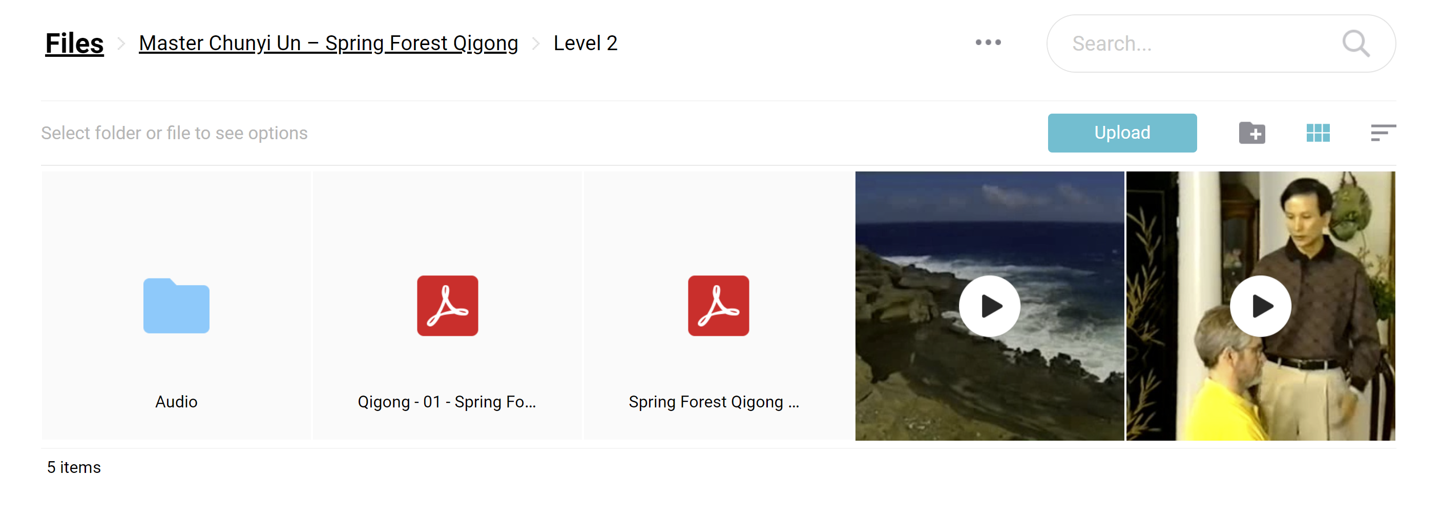 Spring Forest Qigong Level 2
