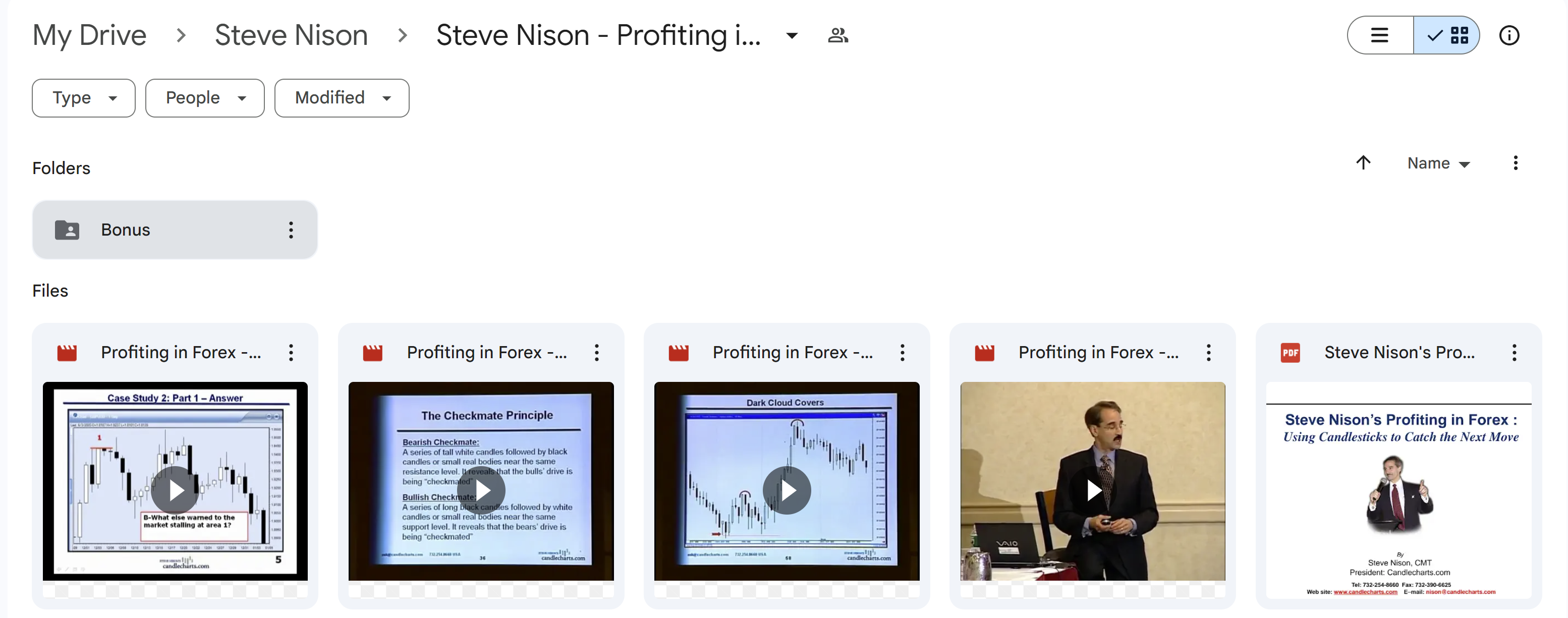 Steve Nison - Profiting In Forex + Bonus