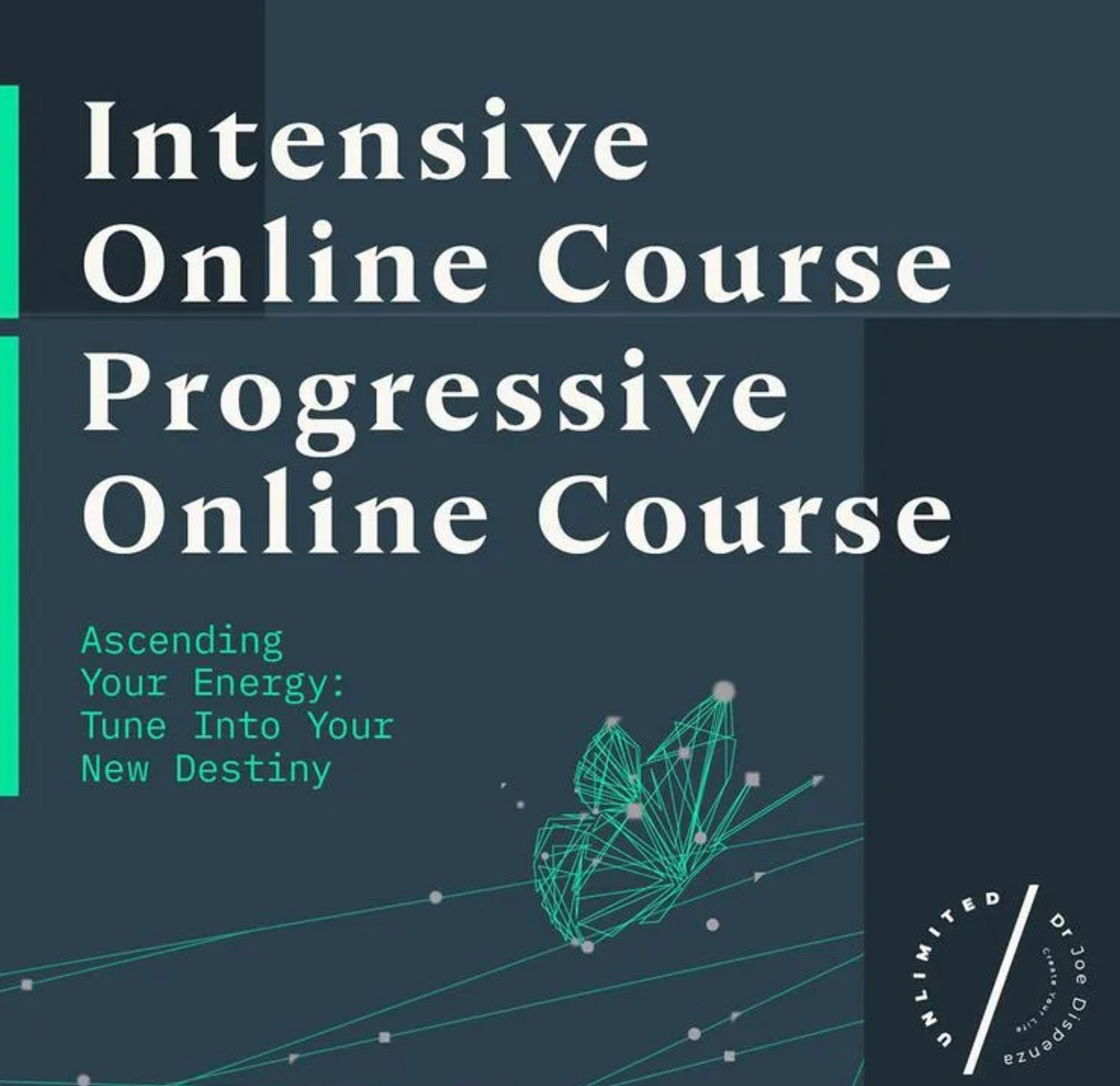 What Is Dr. Joe Dispenza English Online Progressive &Amp; Intensive Workshops