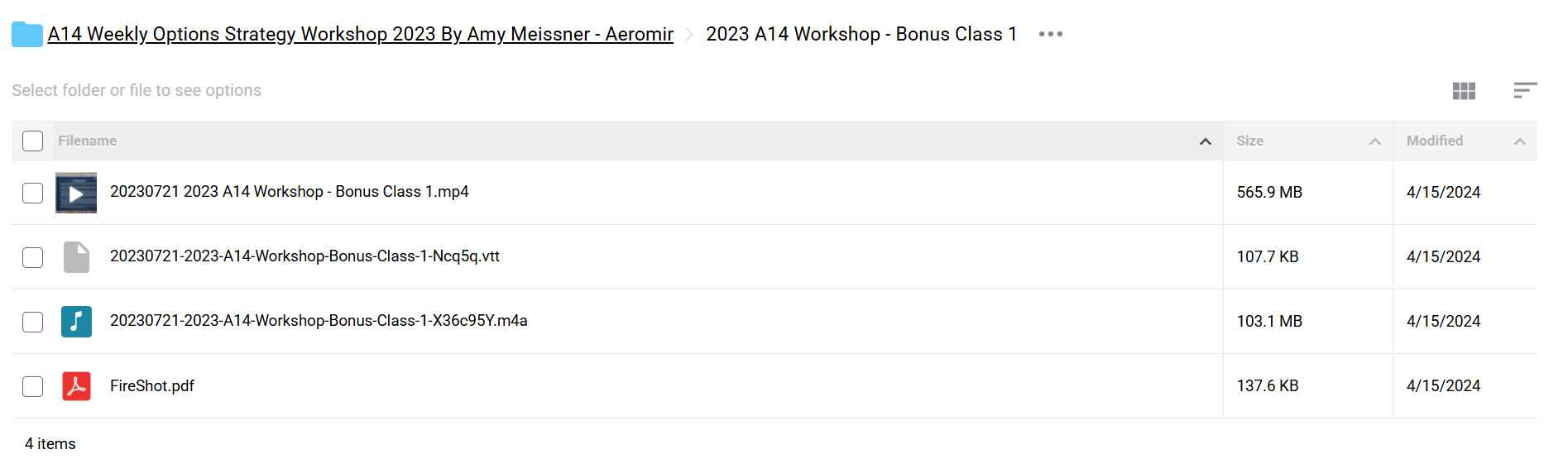 A14 Weekly Option Strategy Workshop 