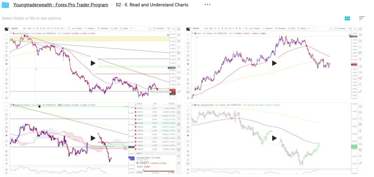 Young Trader Wealth