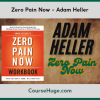 Adam Heller Zero Pain Now