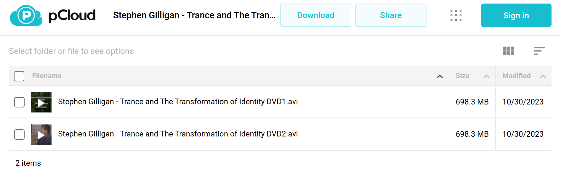 Download Stephen Gilligan Trance and The Transformation of Identity