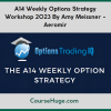 A14 Weekly Options Strategy Workshop 2023 By Amy Meissner - Aeromir