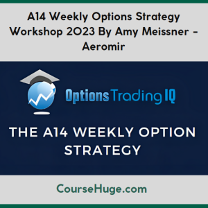 A14 Weekly Options Strategy Workshop 2023 By Amy Meissner - Aeromir