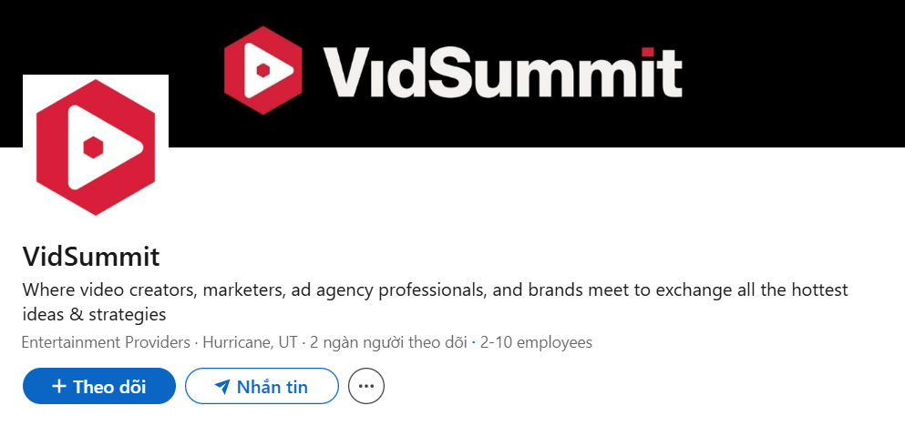 What is VidSummit