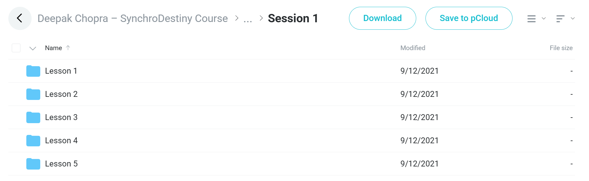 SynchroDestiny Course course