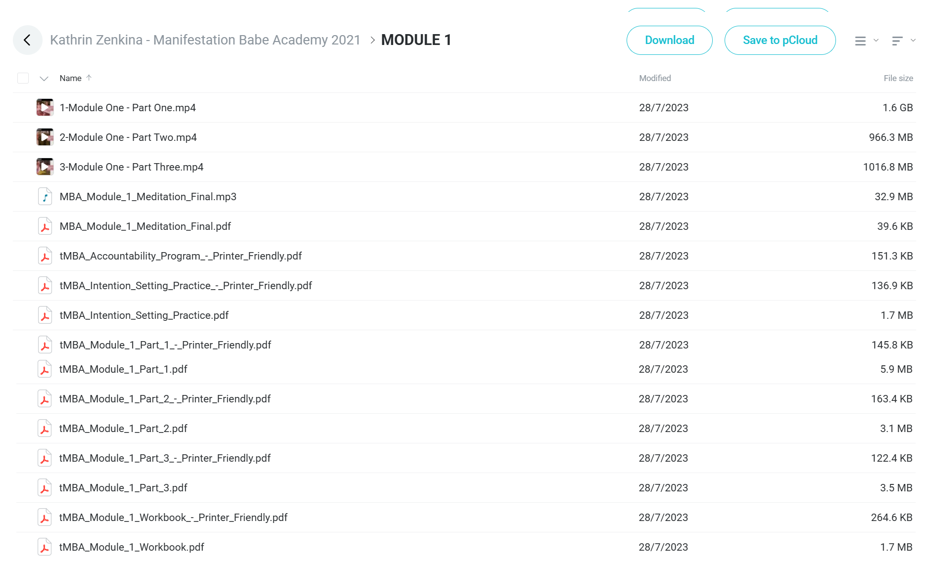 Manifestation Babe Academy 2021 course