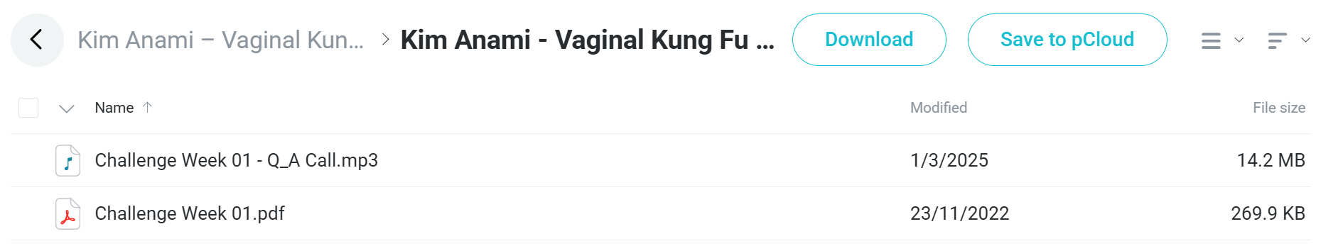 Vaginal Kung Fu course