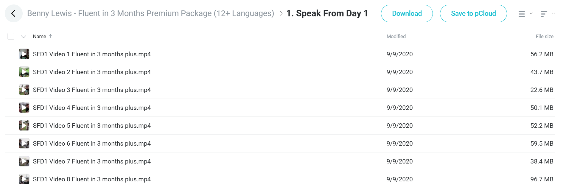 Fluent in 3 Months Premium Package course