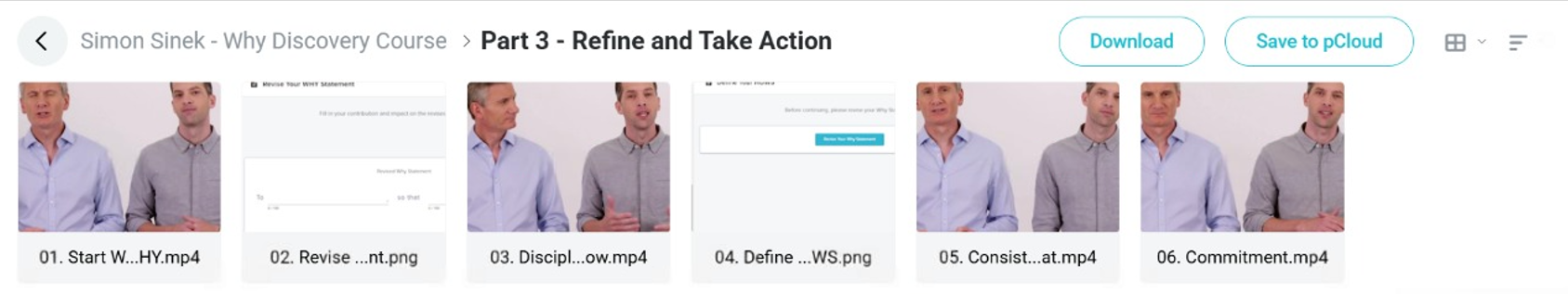 Simon Sinek course