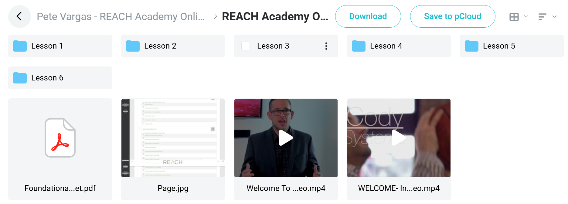 REACH Academy Online course
