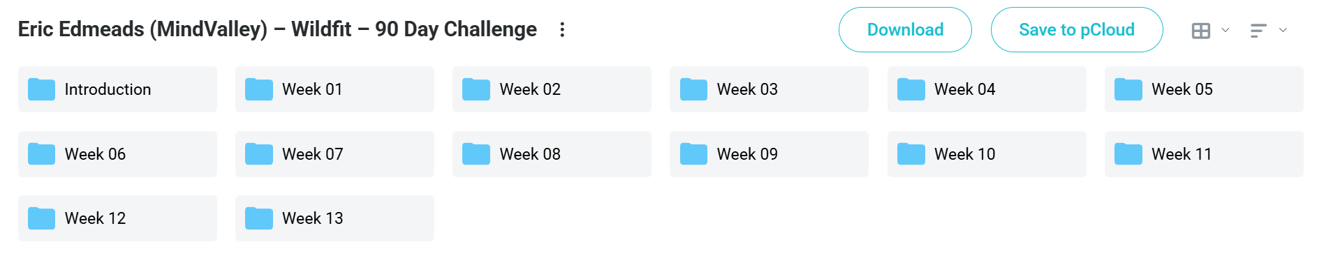 Download Eric Edmeades 90 Day Challenge
