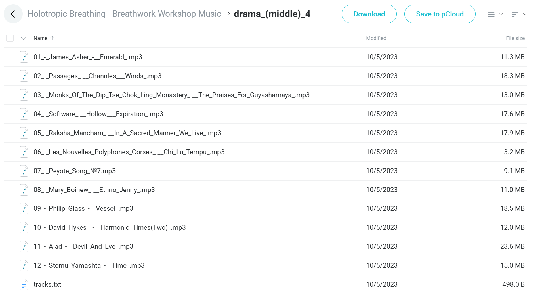 Breathwork Workshop Music course