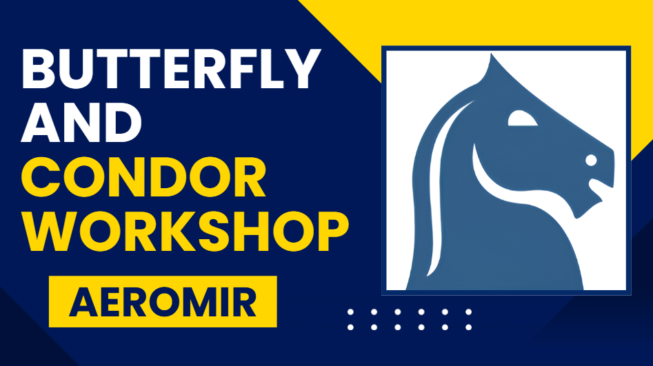 What is Aeromir Butterfly and Condor Workshop