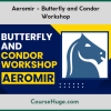 Aeromir - Butterfly and Condor Workshop