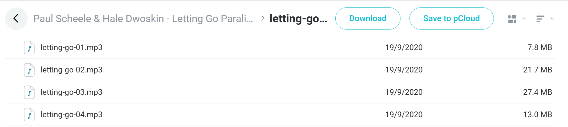 Letting Go Paraliminal course