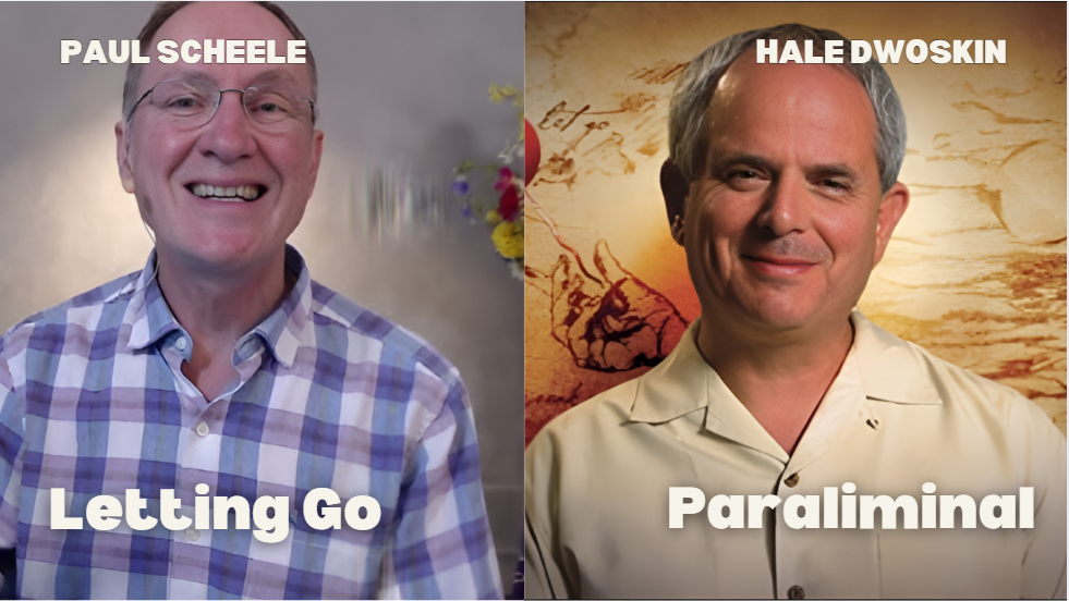 What is Paul Scheele & Hale Dwoskin Letting Go Paraliminal