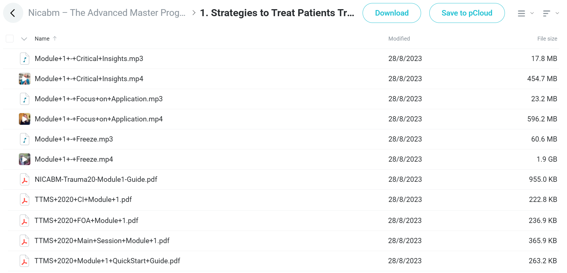 The Advanced Master Program on the Treatment of Trauma corse