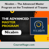 Nicabm – The Advanced Master Program on the Treatment of Trauma