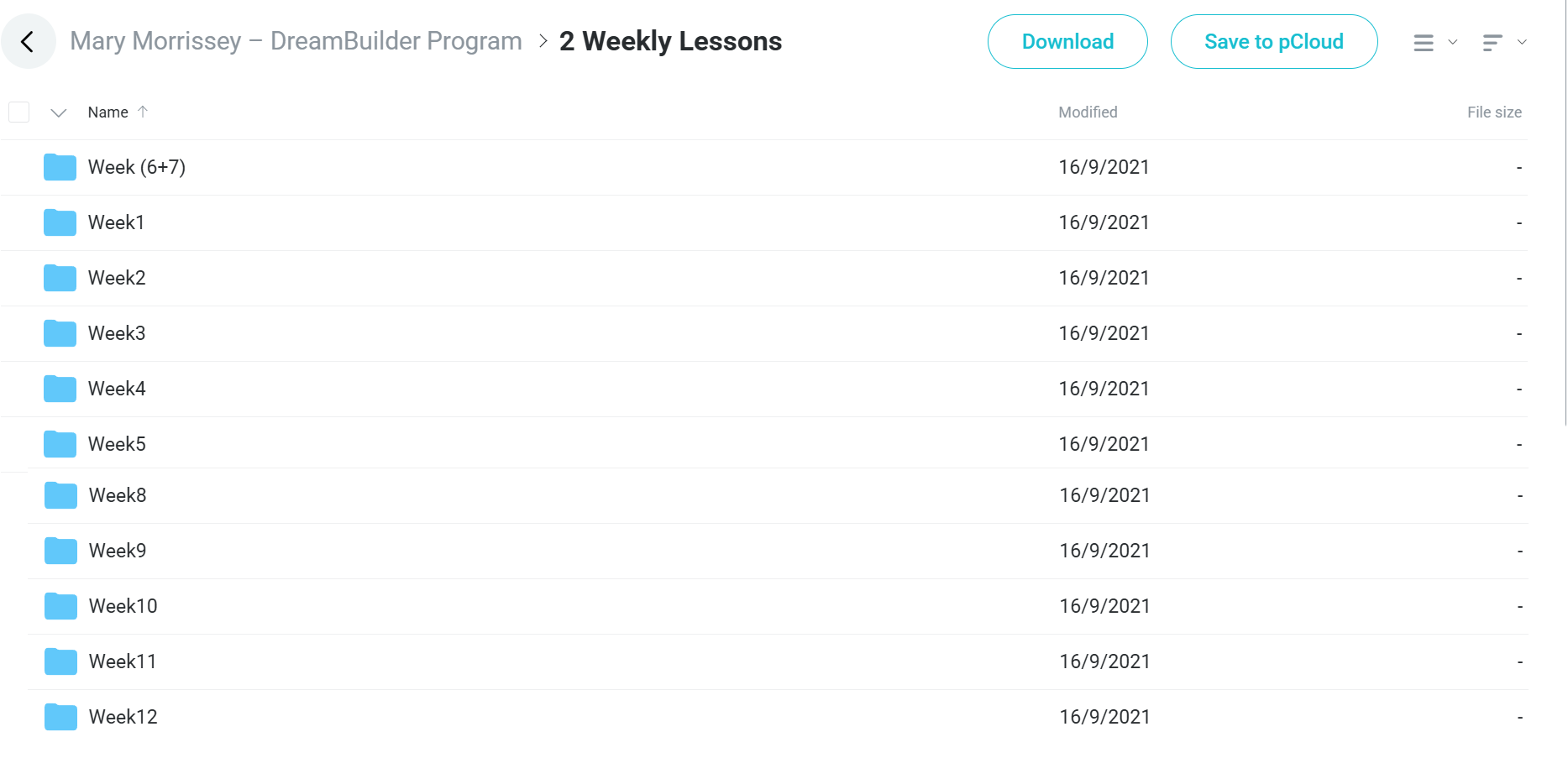DreamBuilder Program course