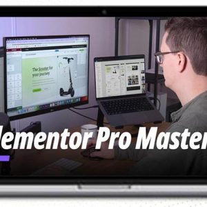 LivingWithPixels – ELEMENTOR PRO MASTERY