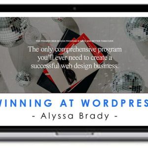Alyssa Brady – Winning at WordPress