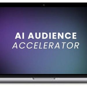 Ole Lehmann – AI Audience Accelerator