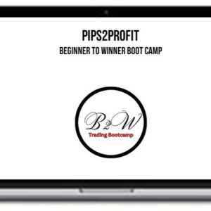 Pips2Profit – Beginner To Winner Boot Camp